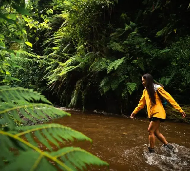 Day Trip Tour To Napuru Falls