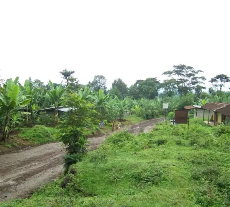 Kibosho Village Day Tour